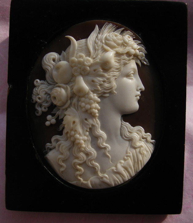 Flora